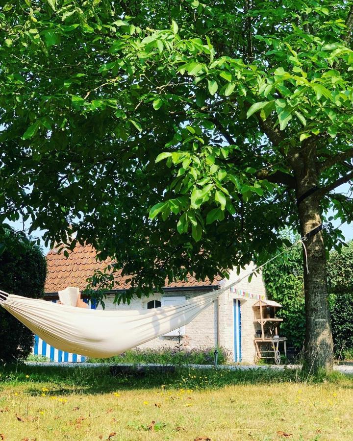 دينزة Hamiora Wellness B&B المظهر الخارجي الصورة